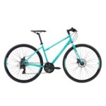 Reid Transport Womens Sports Disc WSD Bike – Size: 15 Inch Frame – Green